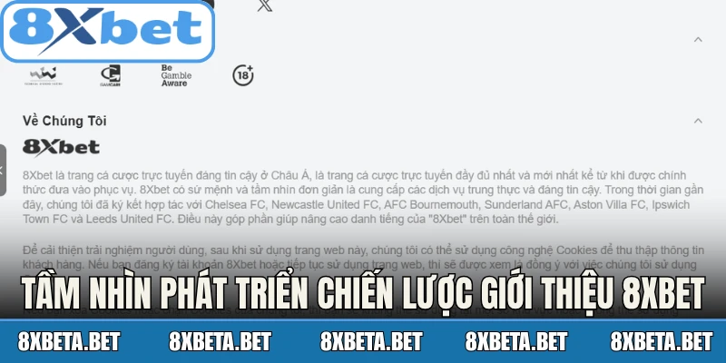 Tầm nhìn phát triển chiến lược của giới thiệu 8Xbet