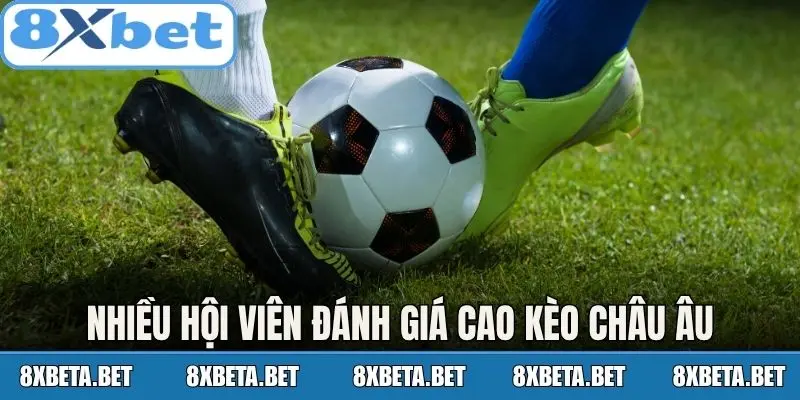 Nhiều hội viên đánh giá cao kèo châu Âu
