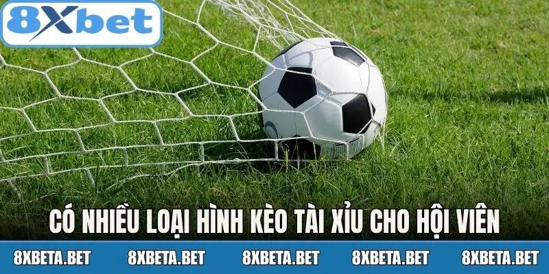 Có nhiều loại hình kèo tài xỉu cho hội viên