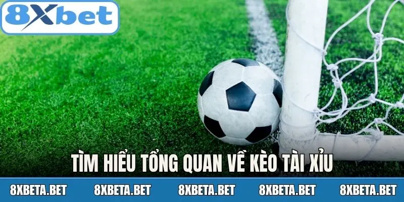 Tìm hiểu tổng quan về kèo tài xỉu