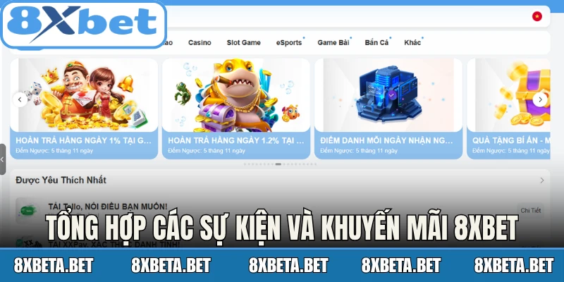 Tổng hợp các sự kiện và khuyến mãi 8Xbet phổ biến