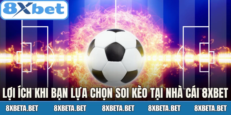 Lợi ích khi bạn lựa chọn soi kèo tại nhà cái 8Xbet